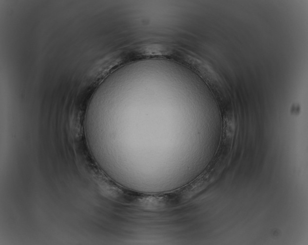 X0000091240422200708231722