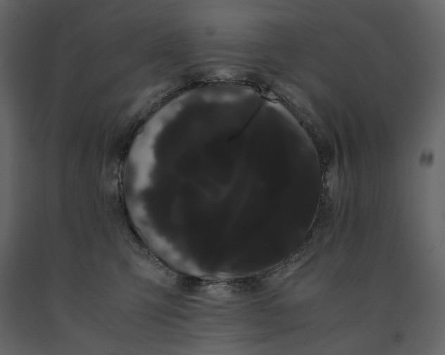 X0000091240423200708231722
