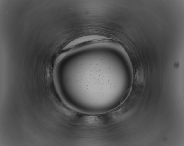 X0000091240424200708231722