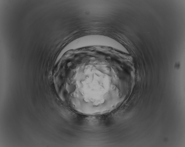 X0000091240425200708231722