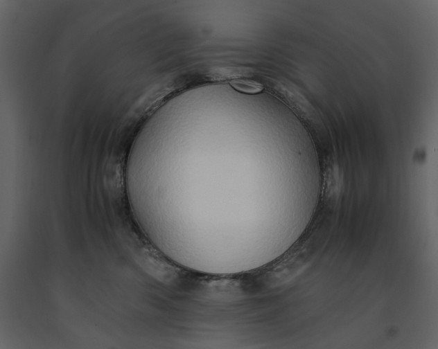 X0000091240426200708231722