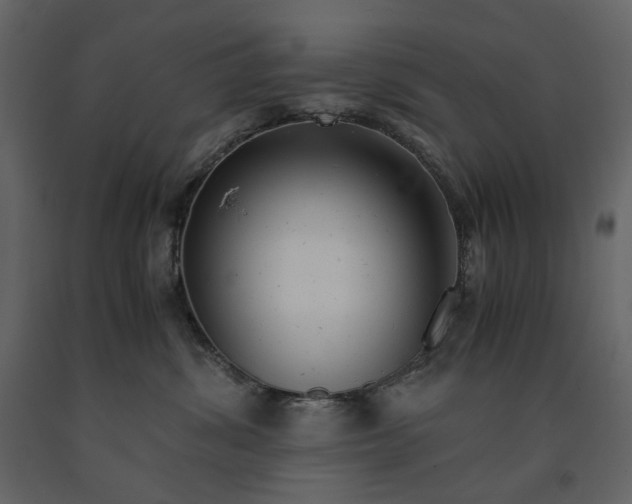 X0000091240428200708231722