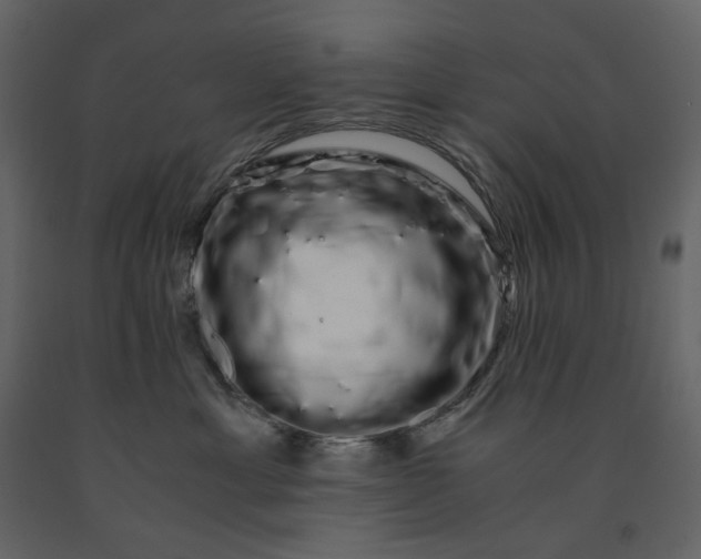 X0000091240429200708231722