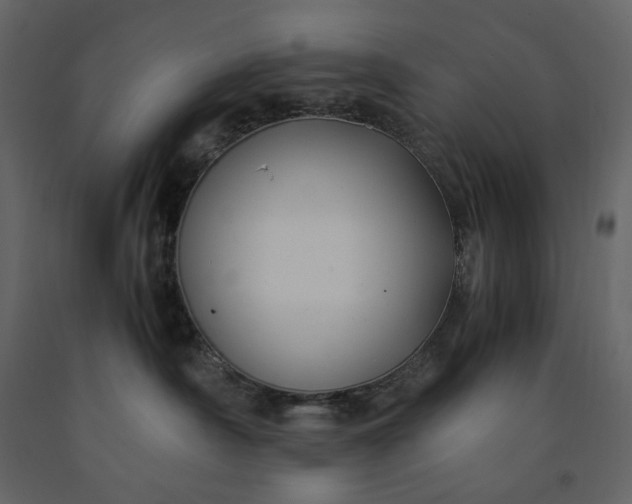 X0000091240430200708231722