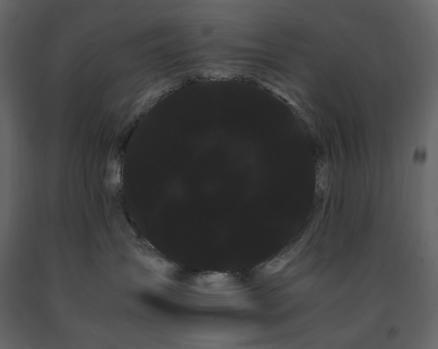 X0000091240431200708231722