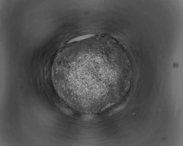 X0000091240432200708231721