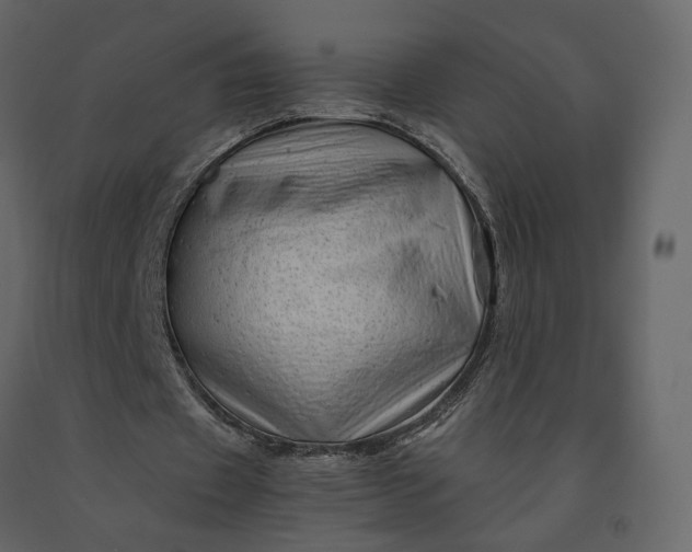 X0000091240433200708231721