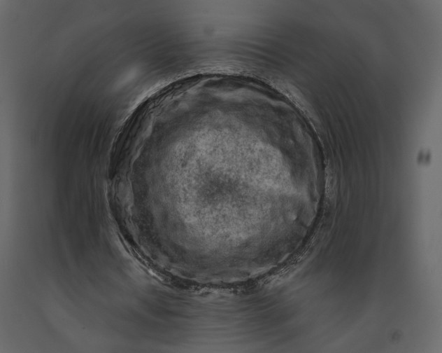 X0000091240434200708231721