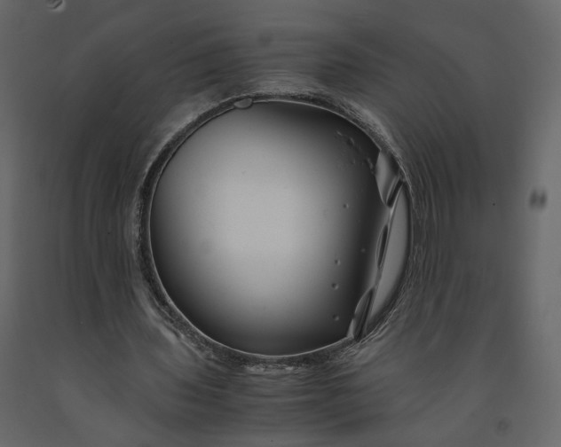 X0000091240435200708231721