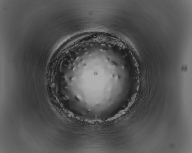 X0000091240436200708231721