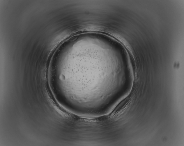 X0000091240437200708231721