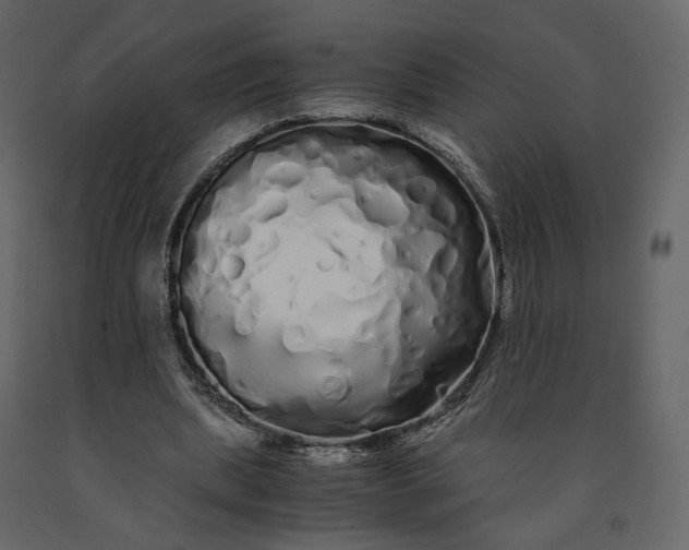 X0000091240439200708231721