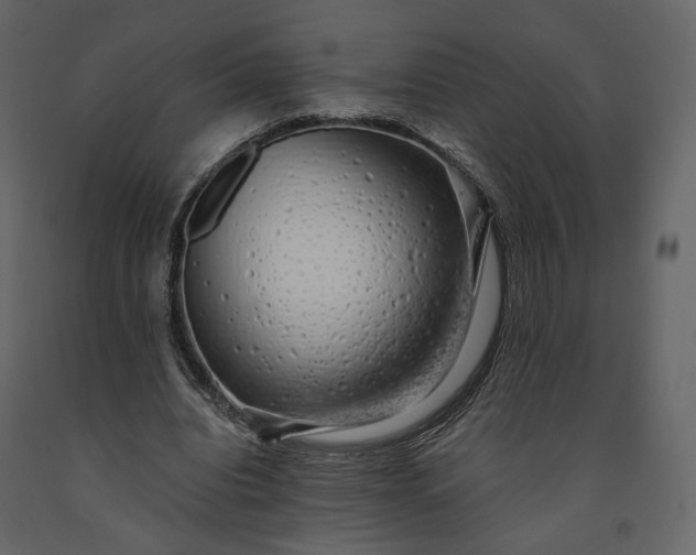 X0000091240440200708231721