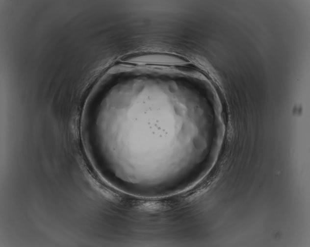 X0000091240441200708231721