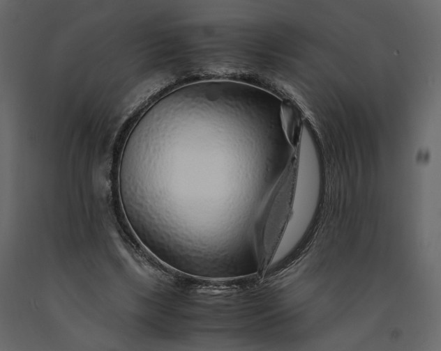 X0000091240443200708231721