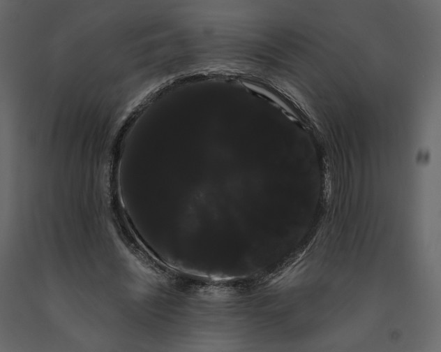 X0000091240444200708231721