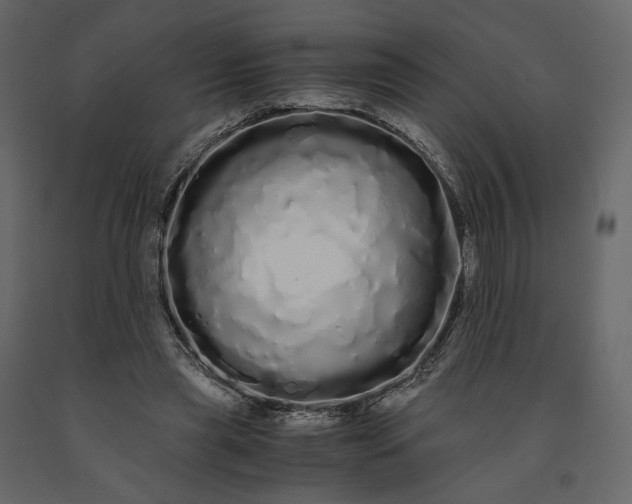 X0000091240445200708231721