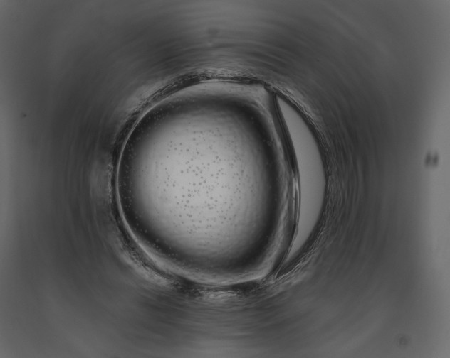 X0000091240446200708231721