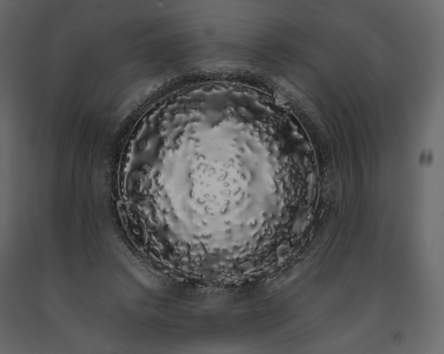 X0000091240448200708231721