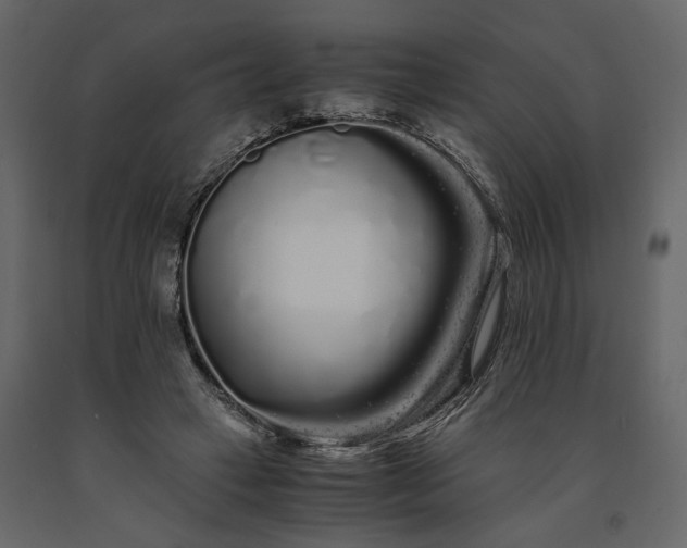 X0000091240449200708231721