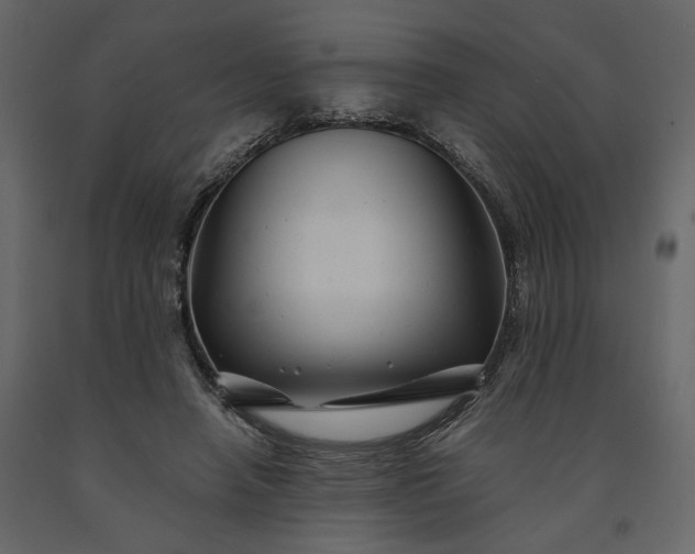 X0000091240450200708231721