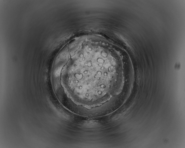 X0000091240451200708231721