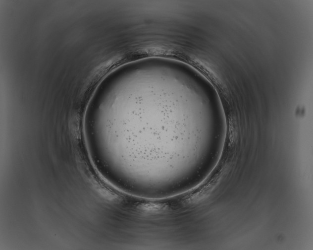 X0000091240453200708231721