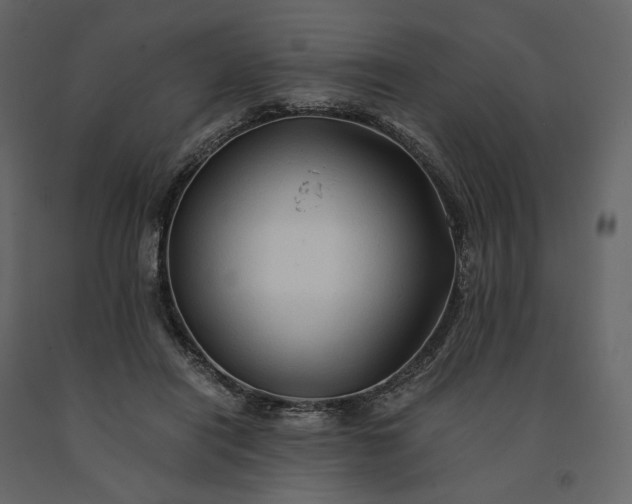 X0000091240454200708231721