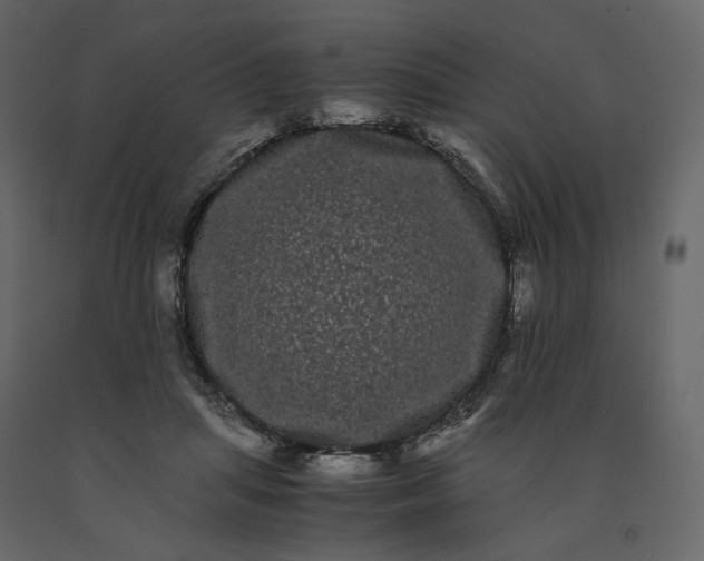 X0000091240455200708231721