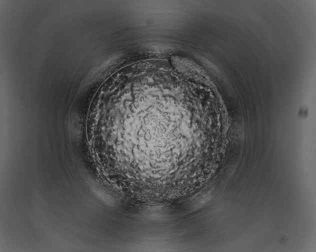 X0000091240456200708231721