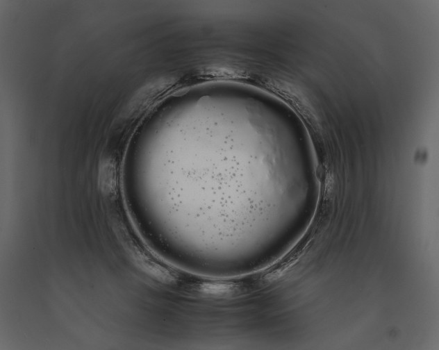 X0000091240457200708231721