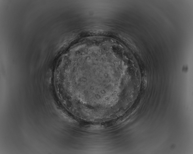 X0000091240458200708231721