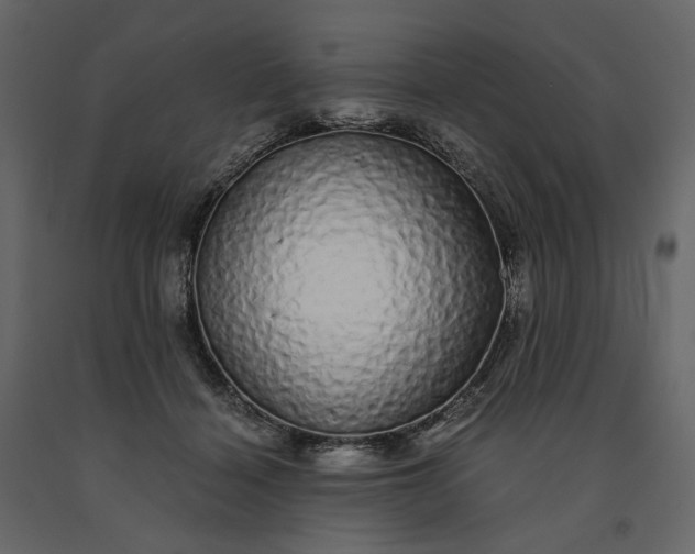 X0000091240460200708231721