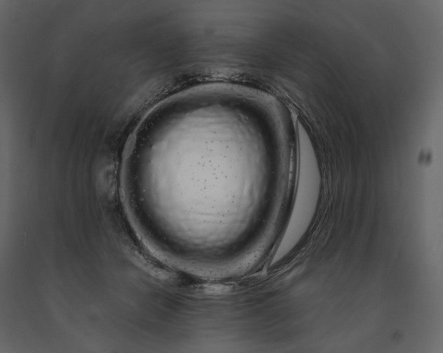 X0000091240462200708231721
