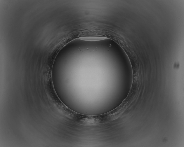 X0000091240464200708231721