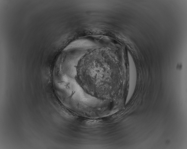 X0000091240465200708231721