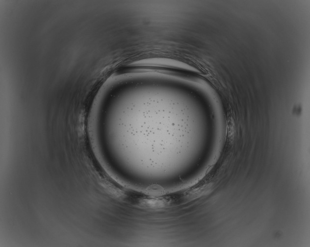 X0000091240466200708231721