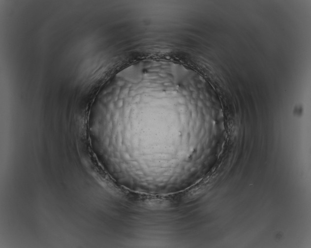 X0000091240468200708231721
