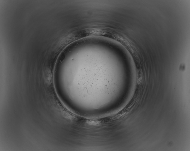 X0000091240469200708231721