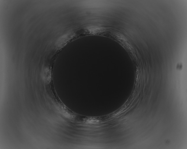 X0000091240471200708231721