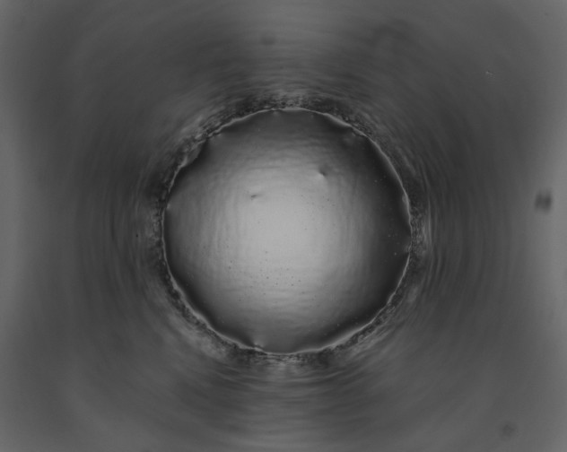 X0000091240472200708231721