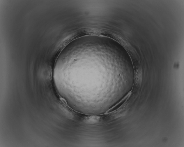 X0000091240474200708231721