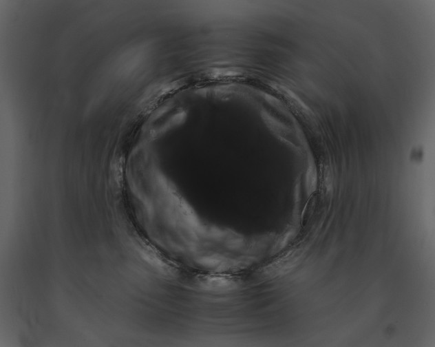 X0000091240475200708231721