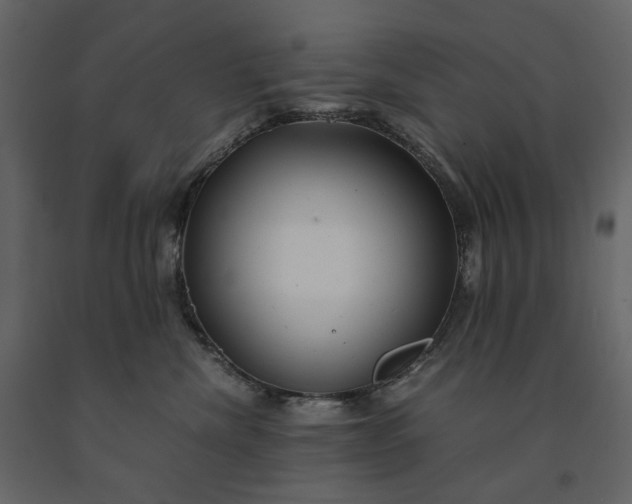 X0000091240476200708231721