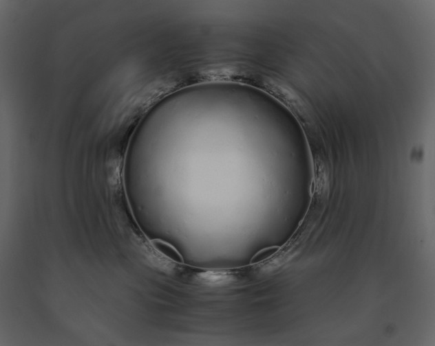 X0000091240477200708231721