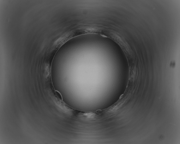 X0000091240478200708231721