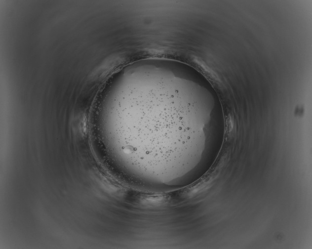 X0000091240479200708231721