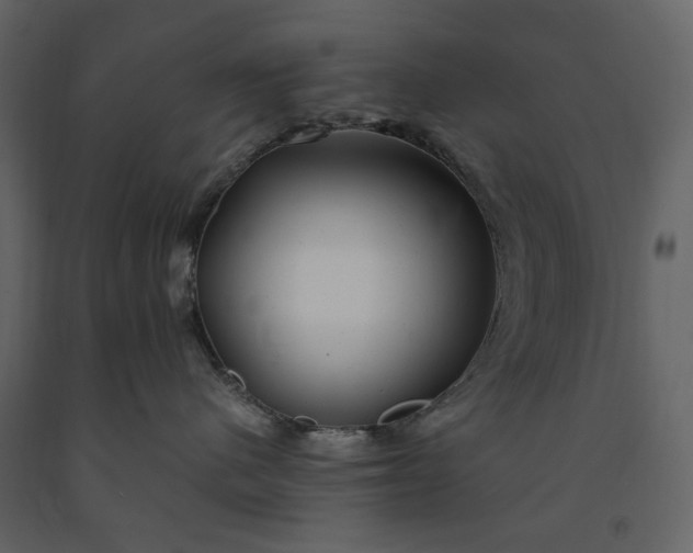 X0000091240480200708231721