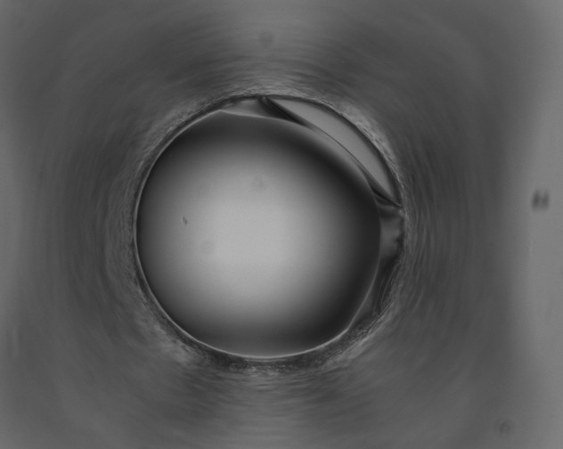 X0000091240481200708231721