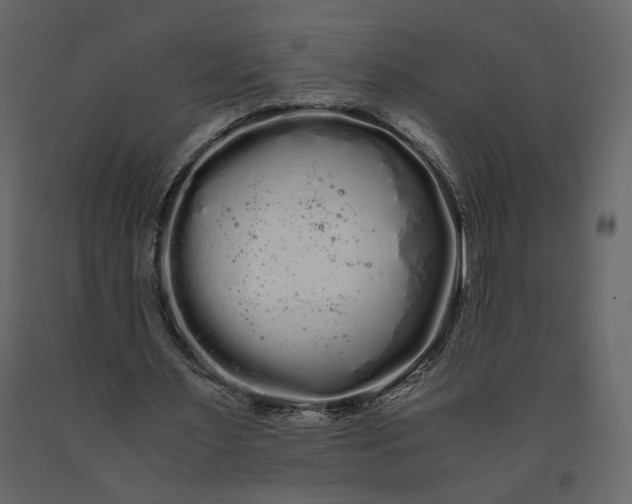 X0000091240483200708231721